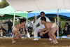 第51回種子島相撲大会