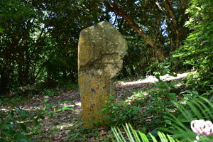 横山神社境内の自然石