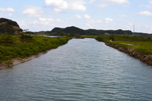 長谷大浦線に架かる大浦橋から下流側を撮影した風景写真