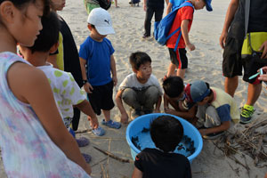 ふ化したウミガメを見る子供たち