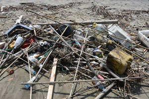 拾い集めた海岸のゴミ
