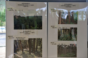 林業技術競技会の入賞者の展示