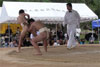 第34回西之表市わんぱく相撲大会