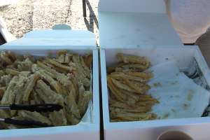 �ԕ􏬊w�Z�O�̒��p�_