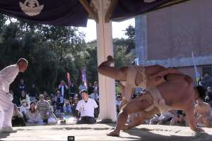 �l�팈����̎��g��