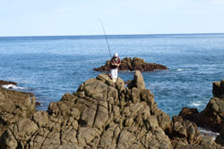 門倉岬の釣り