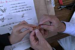 �j���̑t��