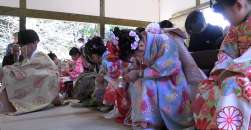 �j���̑t��