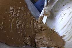 �o����̍���