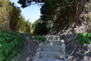 屋久津のエビス階段の参拝道