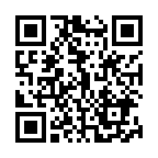 �C�C�M��2025�N����̓񎟌��R�[�h