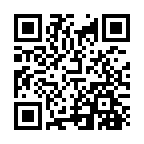 �i���V���O�~2025�N����̓񎟌��R�[�h