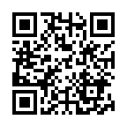 TLV}tE2017N̓񎟌R[h