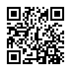 TLV}tE2020N̓񎟌R[h