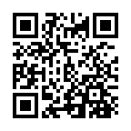 �c�V�e�_�x��2015�N����̓񎟌��R�[�h