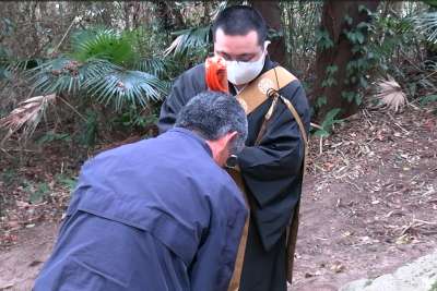 �F�����ɂ����