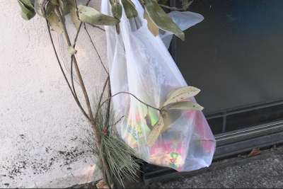 ���݂̂₶�傤