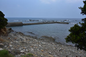 中種子町女洲漁港風景写真2019年6月11日