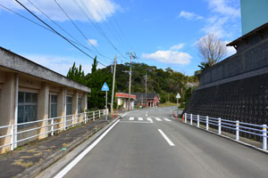 平山小学校正門付近から撮影した平山神社山
