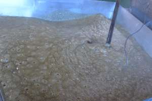 3����Ŏϋl�߂���