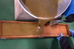 �،^�ɗ�������