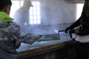 �A�N���̌�