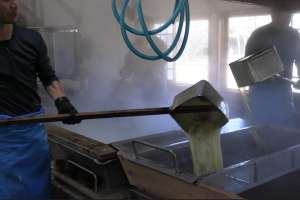 2����Ɉڂ����