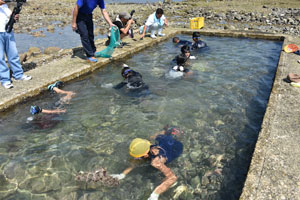 安納小児童によるナガラメ漁獲体験