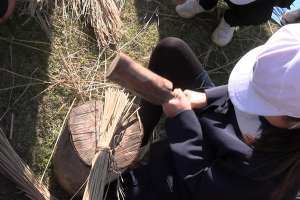 ���ł����