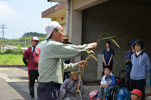 おわりの会での保護者による稲の学習
