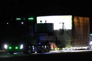 ���ԍ`���o��