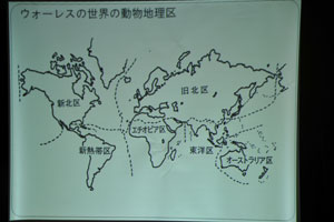ウォーレスの世界の動物地理区のスライド