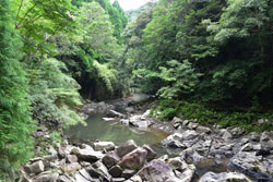 屋久川林道川の風景