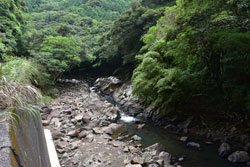 屋久川林道川の風景