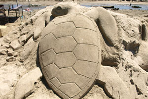 砂で、ウミガメを描いたよ！