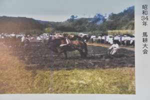 ���a34�N�̔n�k���̎ʐ^